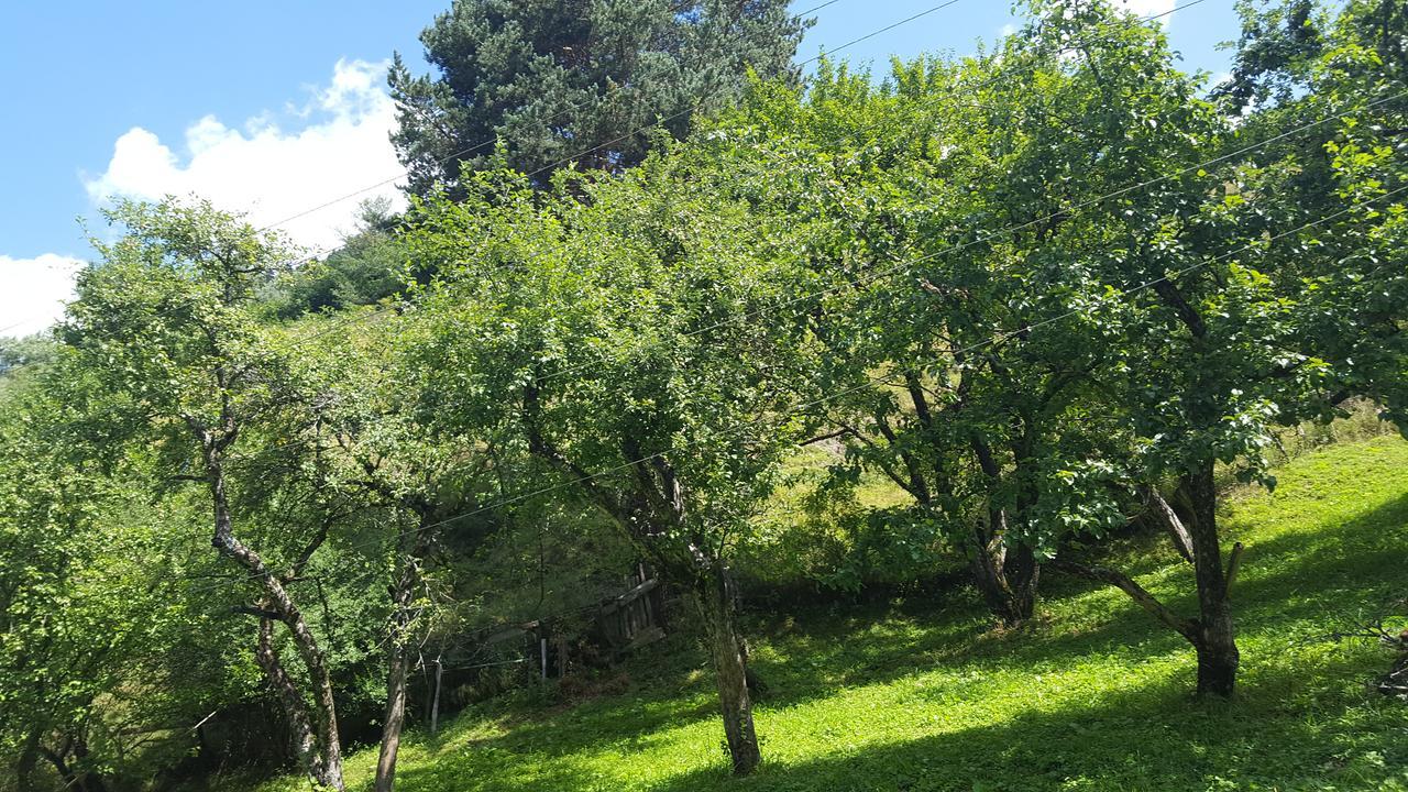 메스티아 Raul Lushnu Darbaz B&B 외부 사진