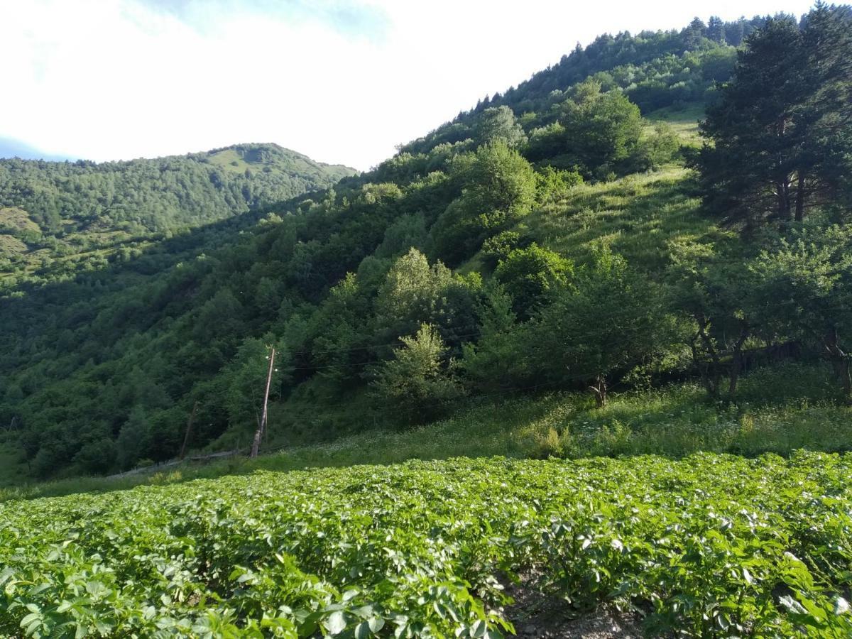 메스티아 Raul Lushnu Darbaz B&B 외부 사진